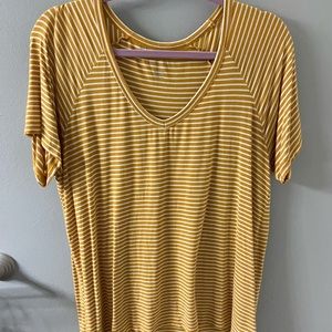 basic v neck t-shirt